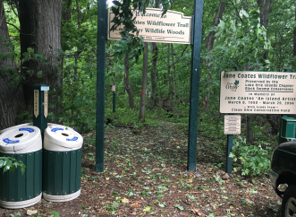 Outdoor Park Trash Cans